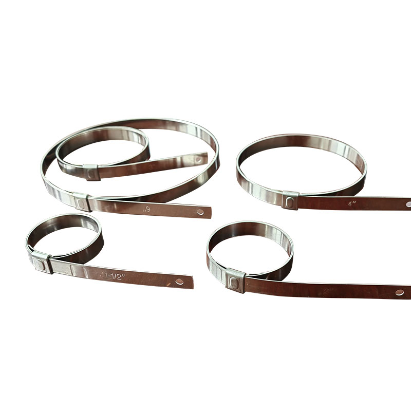 Collare in acciaio inossidabile